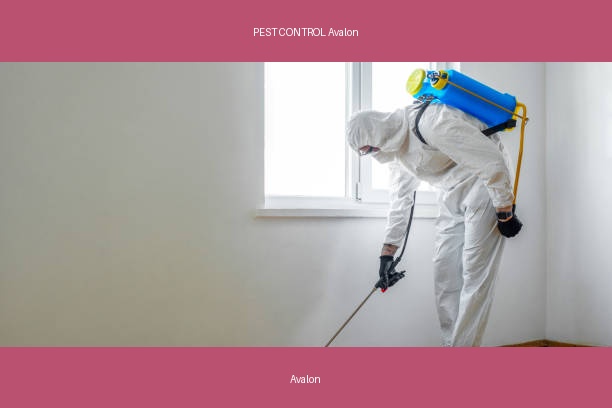 PEST CONTROL Avalon